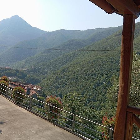 Agriturismo U' Spigu Nonna Annetta Nasino エクステリア 写真