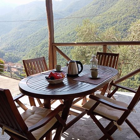 Agriturismo U' Spigu Nonna Annetta Nasino エクステリア 写真