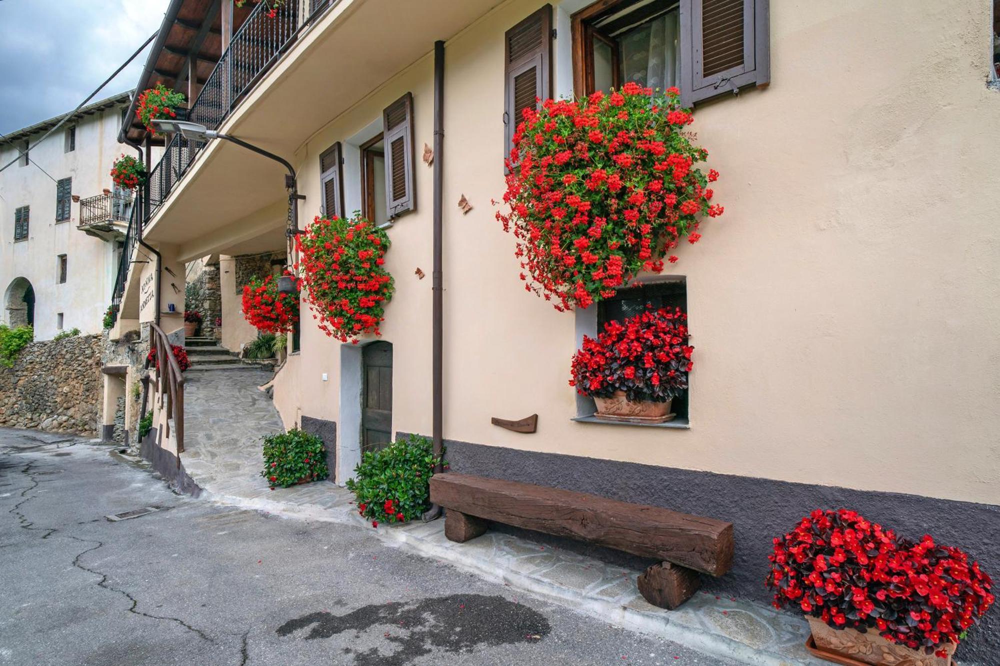Agriturismo U' Spigu Nonna Annetta Nasino エクステリア 写真
