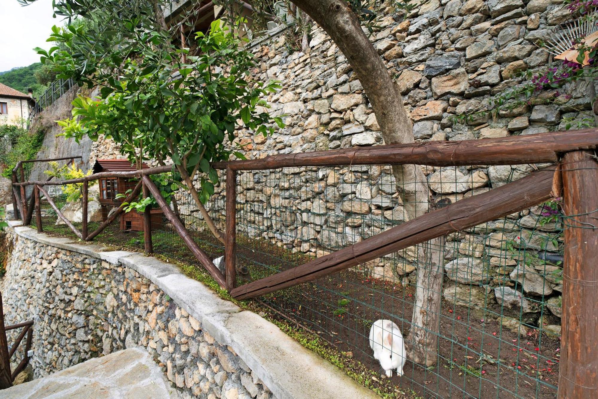 Agriturismo U' Spigu Nonna Annetta Nasino エクステリア 写真